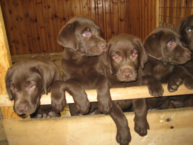 JD_1_2010